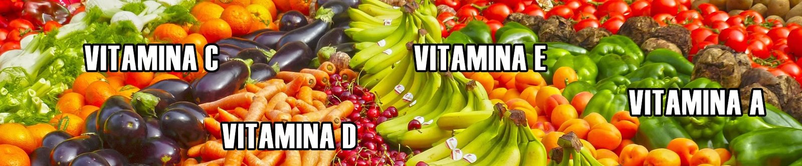 tipos de vitaminas